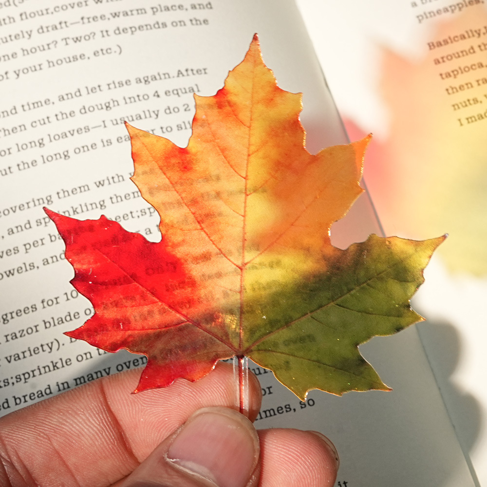 New Delicate Leaves Bookmark T - Dried Flower Bookmark 评论和价格